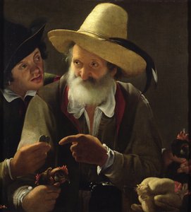 鸟卖家 作者 萨拉塞尼旅馆